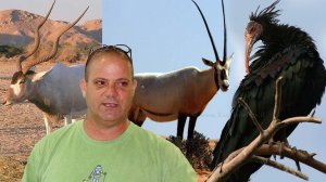 מחקר ב’אוניברסיטת חיפה’: הכחדת מינים בעקבות צייד המוני כבר לפני כ-5000 שנים